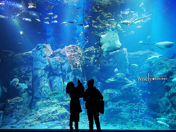 《攝影開箱文。STC 濾鏡》OLYMPUS 7-14mm F2.8 PRO 鏡頭專用遮光罩濾鏡組