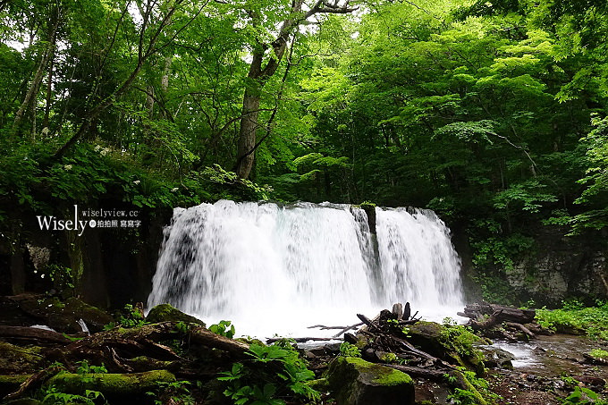 《青森一日遊。景點溫泉美食》公路休息站Apple Hill／藍染體驗、蔦溫泉旅館／蔦沼、十和田湖遊覽船、奧入瀨溪流、HOTEL Jogakura(城倉酒店)