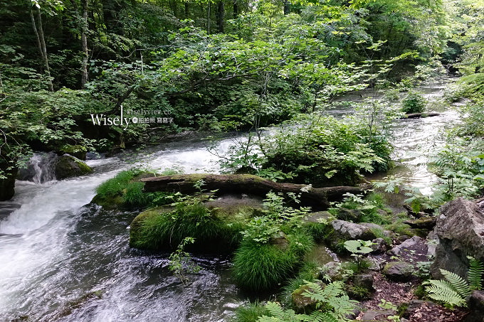 《青森一日遊。景點溫泉美食》公路休息站Apple Hill／藍染體驗、蔦溫泉旅館／蔦沼、十和田湖遊覽船、奧入瀨溪流、HOTEL Jogakura(城倉酒店)