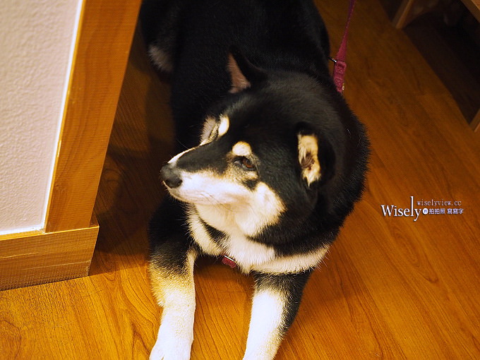 《台中西區。MACHIYA CAFÉ町家咖啡》隱身市場裡的美味宇治金時與夏日祭典藍柑橘刨冰