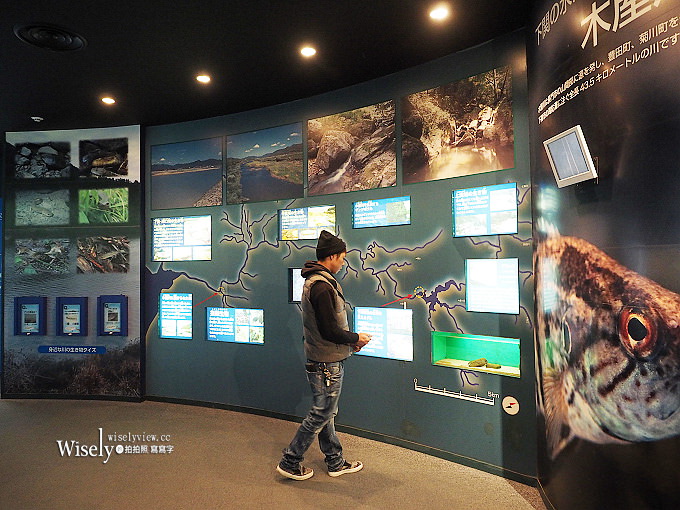 《山口縣下關市。海響館》中國地區最大水族館,可近距離看到企鵝與海豚~鄰近唐戶市場 《山口縣下關市。海響館》中國地區最大水族館,可近距離看到企鵝與海豚~鄰近唐戶市場