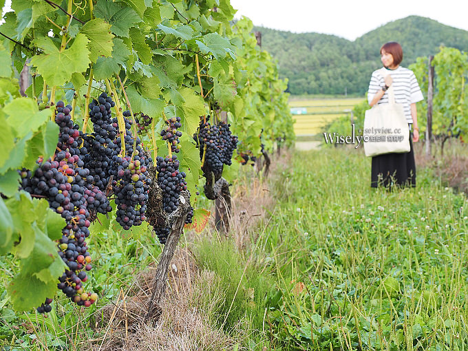 《日本北海道。道北景點美食住宿》國稀酒造&增毛駅、滝川Takikawa Sky Park滑翔機、砂川岩瀨牧場、ナカヤ蘋果派、岩見澤宝水ワイナリー、Tourist Lounge enon旅遊服務中心、桜家Buffet、狸小路商店街、Vessel Inn札幌中島公園