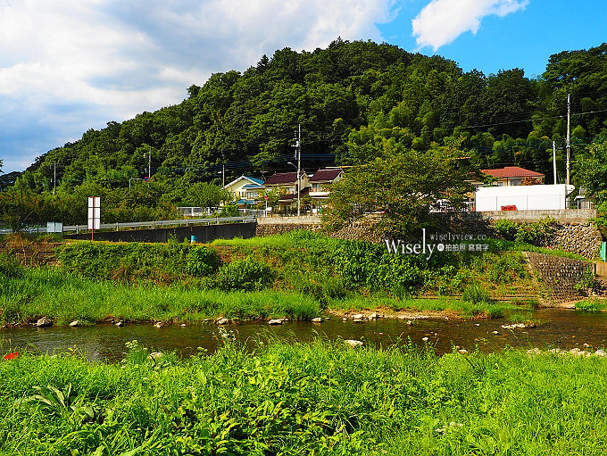 《東京近郊景點。日の出町》登山健行溫泉野釣，平井川寺廟散策，新宿出發一小時抵達
