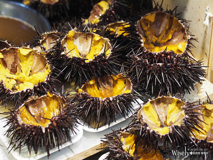 《日本北海道。函館朝市&橫丁市場》烤扇貝生吃海膽，在地生鮮漁夫食堂，品嚐現釣烏賊