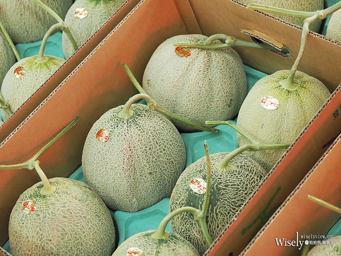 《日本北海道。函館朝市&橫丁市場》烤扇貝生吃海膽，在地生鮮漁夫食堂，品嚐現釣烏賊