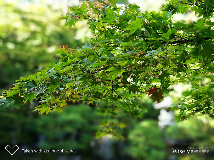 《華碩手機。一起戀攝影》ZenFone 4 Pro：高質感旗艦規格，光學變焦雙鏡頭，照片超迷人