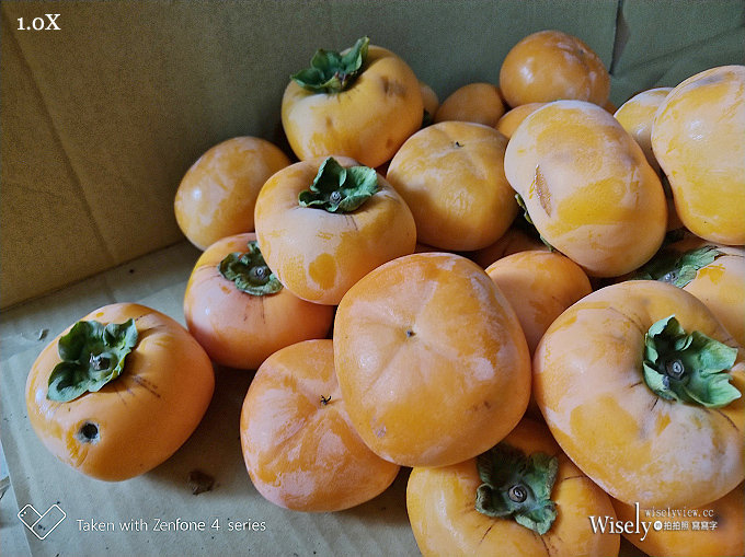 《華碩手機。一起戀攝影》ZenFone 4 Pro：高質感旗艦規格，光學變焦雙鏡頭，照片超迷人