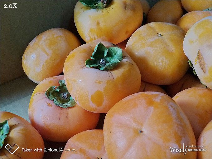 《華碩手機。一起戀攝影》ZenFone 4 Pro：高質感旗艦規格，光學變焦雙鏡頭，照片超迷人