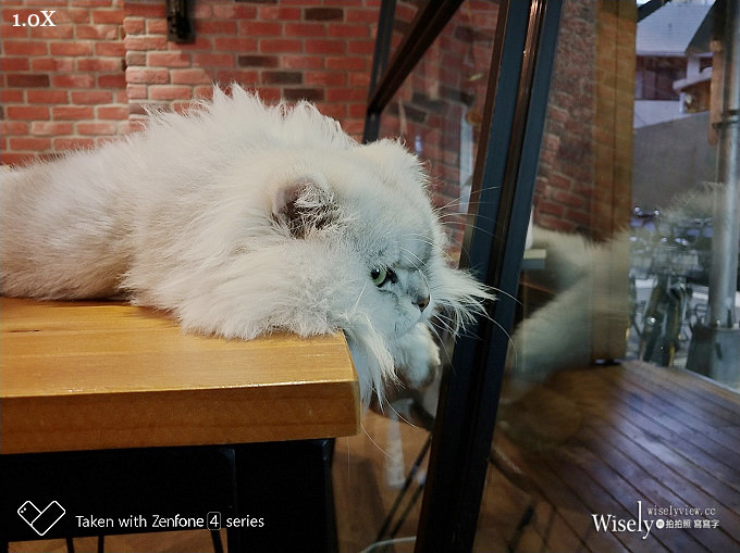 《華碩手機。一起戀攝影》ZenFone 4 Pro：高質感旗艦規格，光學變焦雙鏡頭，照片超迷人