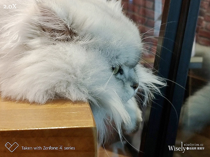 《華碩手機。一起戀攝影》ZenFone 4 Pro：高質感旗艦規格，光學變焦雙鏡頭，照片超迷人