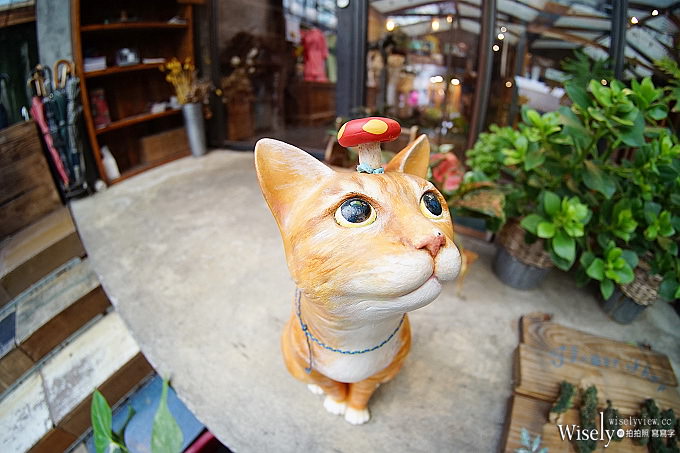Kamlan 瑪暢。大光圈手動鏡︱Sony E環:8mm/f3.0、28mm/f1.4、50mm/f1.1@日本山形實拍分享 Kamlan 瑪暢。大光圈手動鏡︱Sony E環:8mm/f3.0、28mm/f1.4、50mm/f1.1@日本山形實拍分享