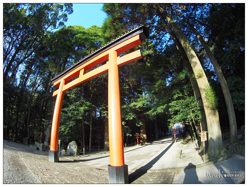 《Kamlan 瑪暢。大光圈手動鏡》M43接環：7.5mm/f3.2、28mm/f1.4、50mm/f1.1＠鹿兒島實拍分享