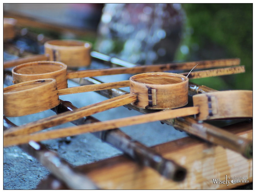 《Kamlan 瑪暢。大光圈手動鏡》M43接環：7.5mm/f3.2、28mm/f1.4、50mm/f1.1＠鹿兒島實拍分享