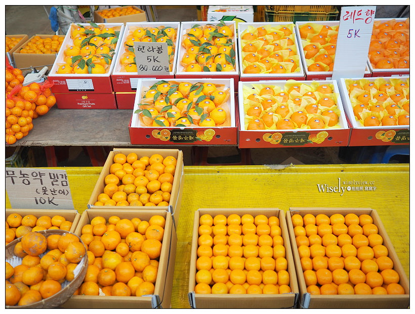 《濟州島自由行。濟州民俗五日市場》採購吃喝熟食生鮮，最便宜好買的生活市集