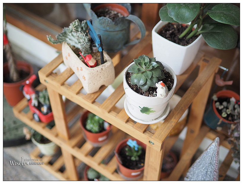 曬貓咖啡︱可愛店貓作陪︱輕食免費上網不限時︱捷運科技大樓站