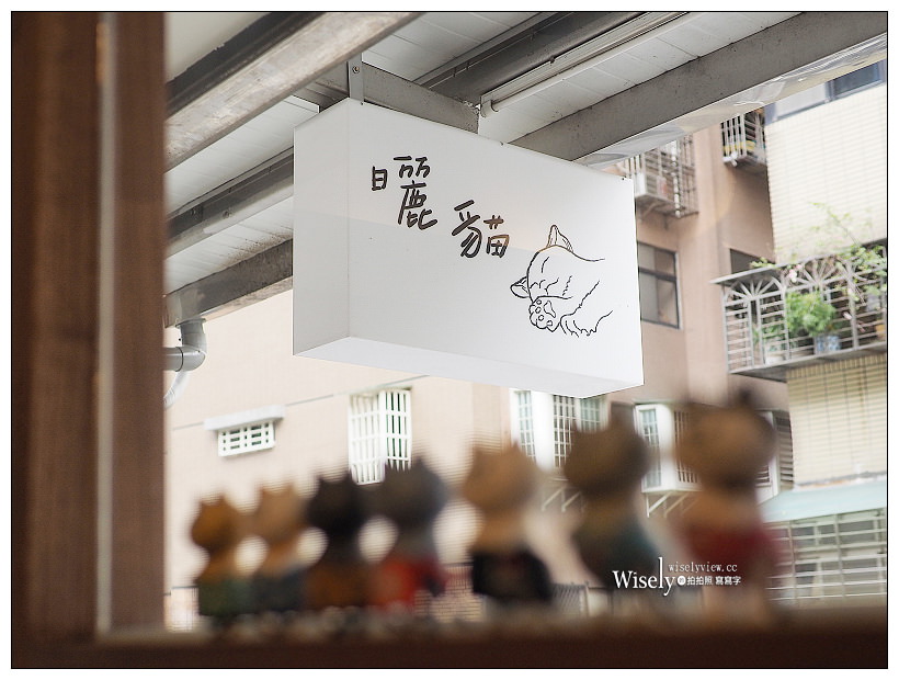 曬貓咖啡︱可愛店貓作陪︱輕食免費上網不限時︱捷運科技大樓站