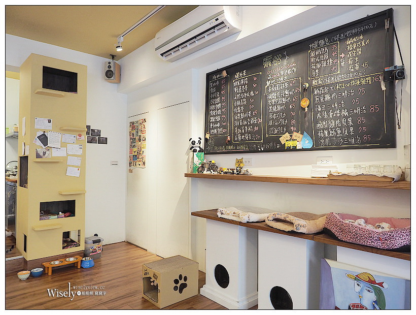 曬貓咖啡︱可愛店貓作陪︱輕食免費上網不限時︱捷運科技大樓站