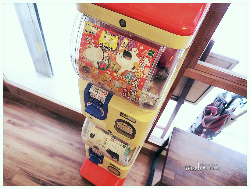 曬貓咖啡︱可愛店貓作陪︱輕食免費上網不限時︱捷運科技大樓站