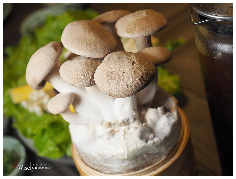 《台北中山。捷運中山站》青花驕 麻辣火鍋：清新果香麻辣搭配古早酸味白菜的鴛鴦鍋