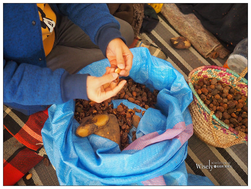 《摩洛哥》馬拉喀什Marrakesh：傳統庭院住宅、羊上樹、摩洛哥油、老城區市集