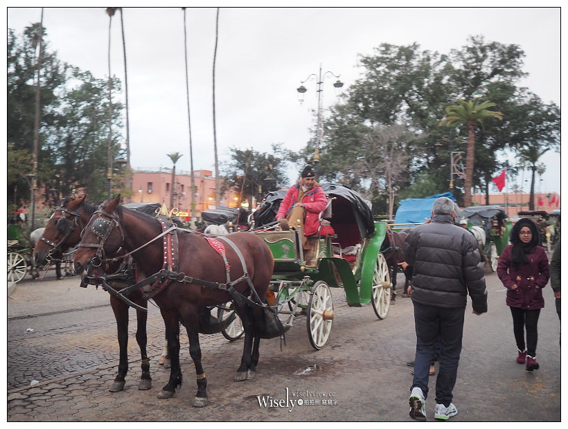《摩洛哥》馬拉喀什Marrakesh：傳統庭院住宅、羊上樹、摩洛哥油、老城區市集