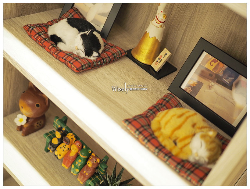 [歇業] 新北中和。捷運南勢角站︱遇見貓咖啡輕食館／MetCat.Coffee：寵物友善餐廳