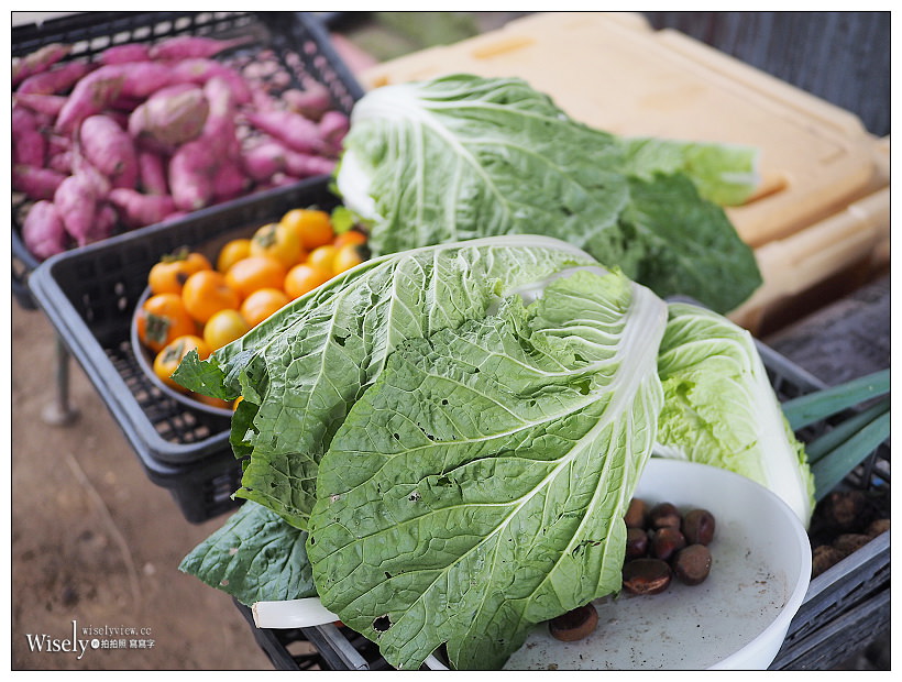 新潟妙高。來去鄉下住一晚︱品嚐在地豐盛美味料理，感受在地生活與人情味～