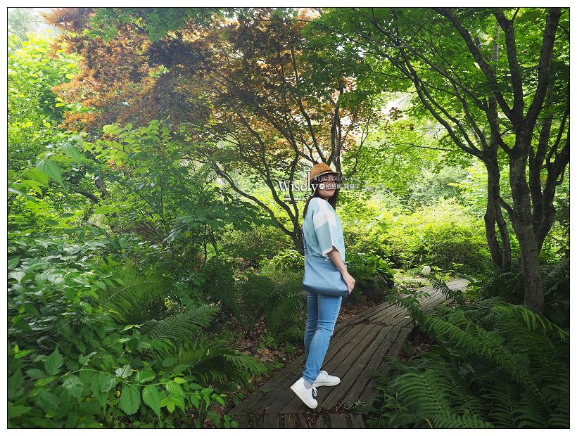 北海道住宿。十勝川温泉 ホテル大平原︱名產早餐溫泉旅宿，熱氣球升空體驗