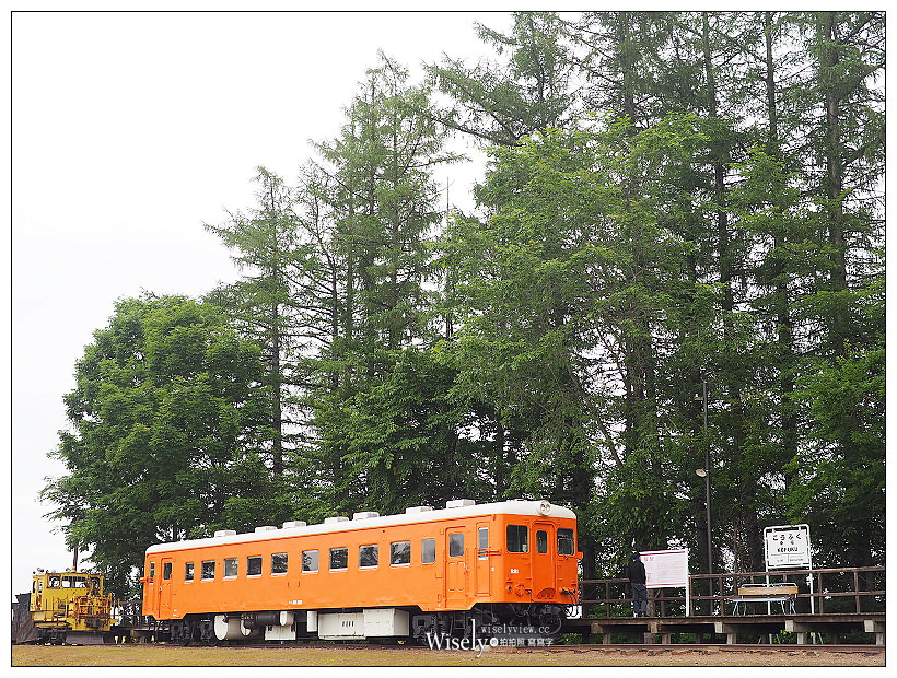 北海道上網推薦。Wi-Ho!特樂通︱不限流量吃到飽～藍鑽石Plus & SIM卡