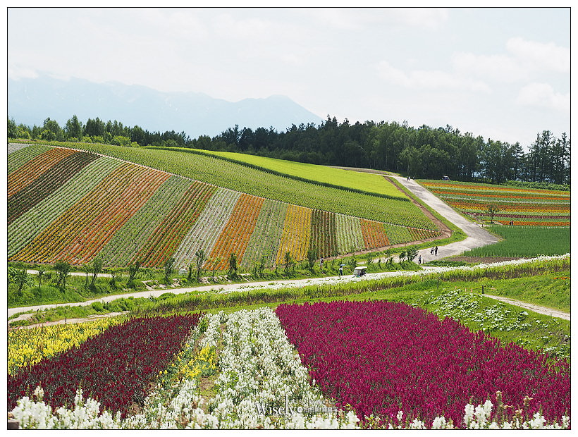 北海道上網推薦。Wi-Ho!特樂通︱不限流量吃到飽～藍鑽石Plus & SIM卡