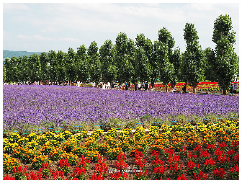 北海道上網推薦。Wi-Ho!特樂通︱不限流量吃到飽～藍鑽石Plus & SIM卡