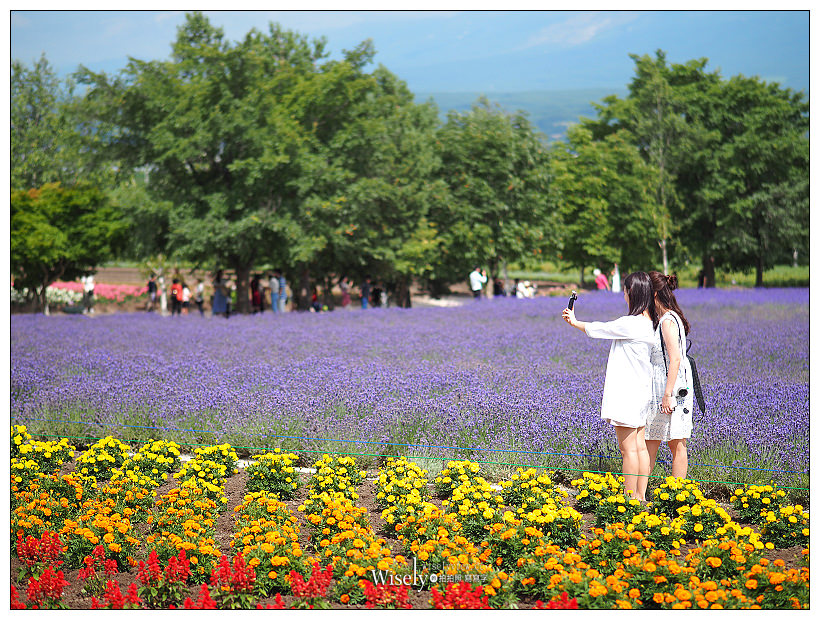 Tabirai日本租車比價、預約︱價格透明情報資訊超詳細，北海道輕鬆自駕遊