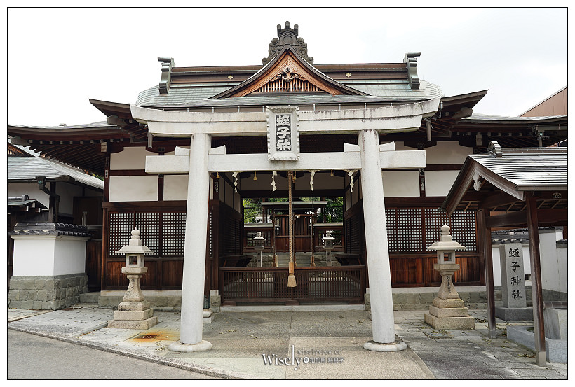和歌山景點。粉河寺︱桃山時代枯山水庭園，主供奉千手千眼觀世音菩薩