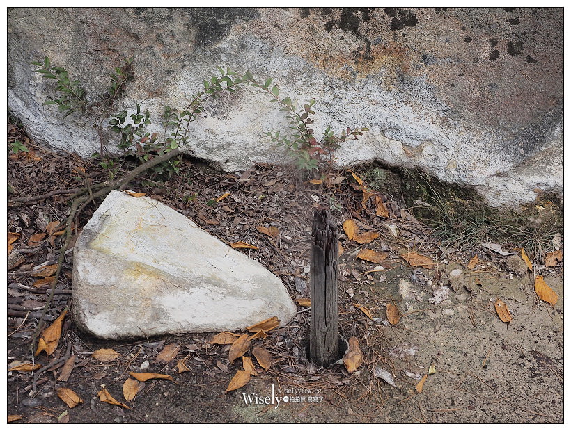 栗野岳溫泉。八幡大地獄︱西鄉隆盛造訪之所-南州館，霧島伊佐地區著名秘湯