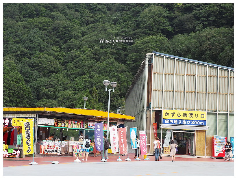 德島景點。祖谷蔓橋／かずら橋︱大步危峽谷秘境內，步步驚心的日本三大奇橋