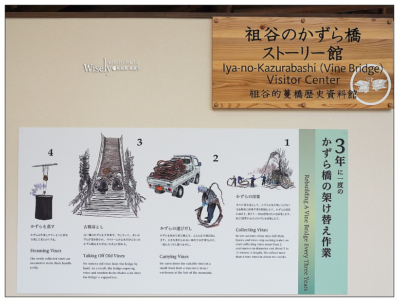 德島景點。祖谷蔓橋／かずら橋︱大步危峽谷秘境內，步步驚心的日本三大奇橋