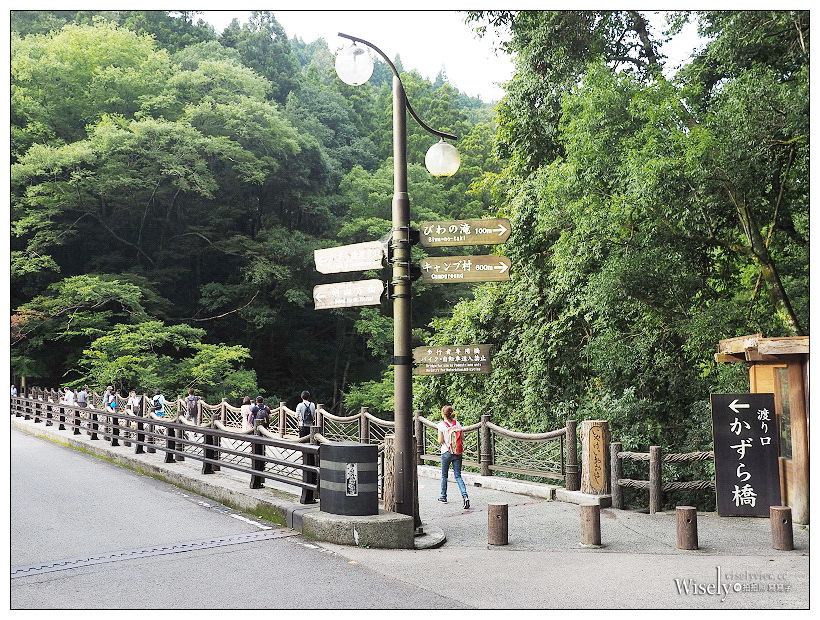 德島景點。祖谷蔓橋／かずら橋︱大步危峽谷秘境內，步步驚心的日本三大奇橋