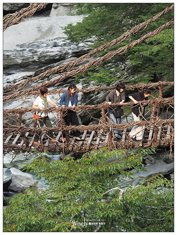 德島景點。祖谷蔓橋／かずら橋︱大步危峽谷秘境內，步步驚心的日本三大奇橋