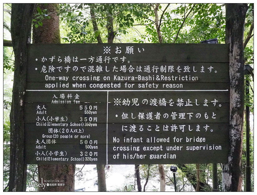 德島景點。祖谷蔓橋／かずら橋︱大步危峽谷秘境內，步步驚心的日本三大奇橋