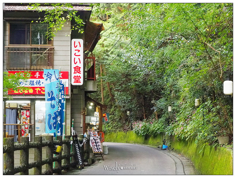 德島景點。祖谷蔓橋／かずら橋︱大步危峽谷秘境內，步步驚心的日本三大奇橋