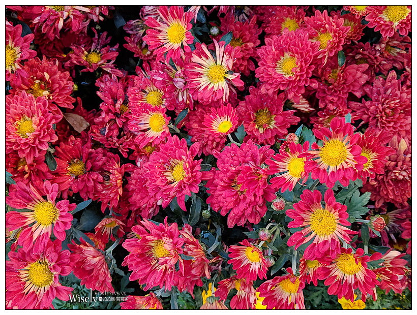 Google Pixel 3。夜視 Night Sight︱低光拍攝超強大，單鏡頭畫質直逼微單眼