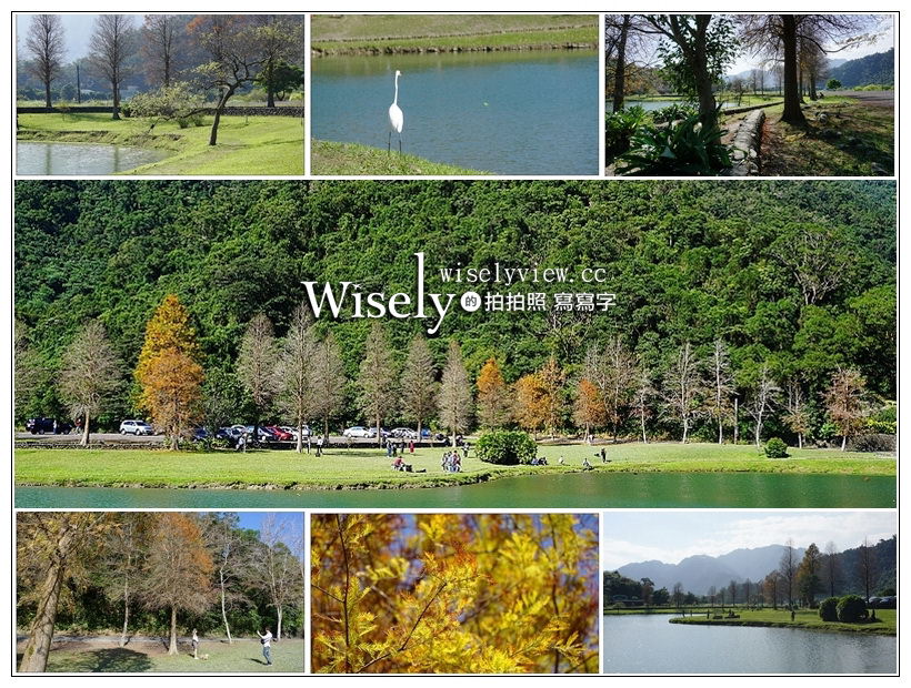 宜蘭落羽松景點。員山蜊埤湖福園︱每年12月至隔年1月限定美景，拍照打卡親子野餐必訪