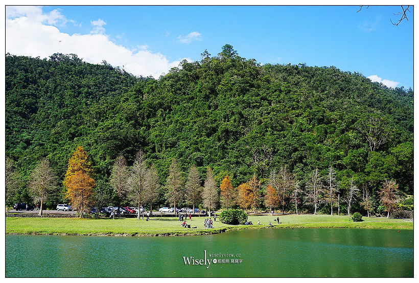 宜蘭落羽松景點。員山蜊埤湖福園︱每年12月至隔年1月限定美景，拍照打卡親子野餐必訪