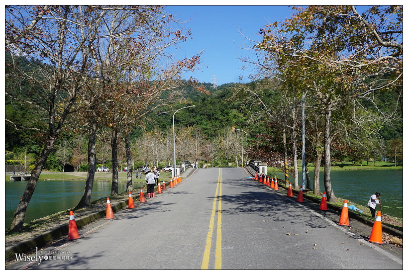 宜蘭落羽松景點。員山蜊埤湖福園︱每年12月至隔年1月限定美景，拍照打卡親子野餐必訪