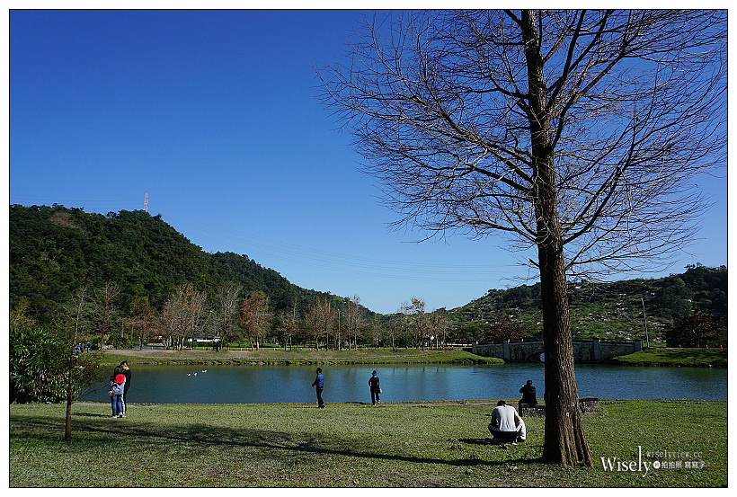 宜蘭落羽松景點。員山蜊埤湖福園︱每年12月至隔年1月限定美景，拍照打卡親子野餐必訪