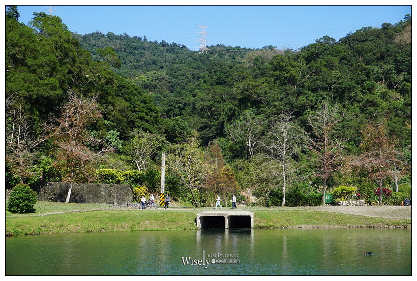 宜蘭落羽松景點。員山蜊埤湖福園︱每年12月至隔年1月限定美景，拍照打卡親子野餐必訪