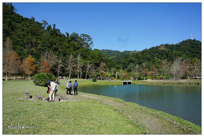 宜蘭落羽松景點。員山蜊埤湖福園︱每年12月至隔年1月限定美景，拍照打卡親子野餐必訪
