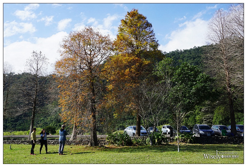 宜蘭落羽松景點。員山蜊埤湖福園︱每年12月至隔年1月限定美景，拍照打卡親子野餐必訪
