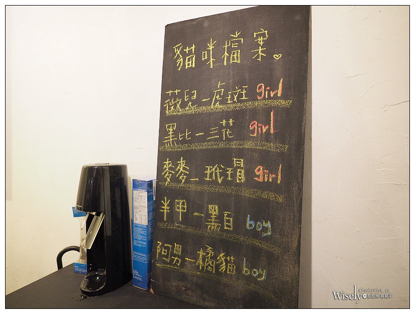 台北貓咖啡 Toast Chat︱東區國父紀念館不限時貓咪早午餐，提供WiFi插座