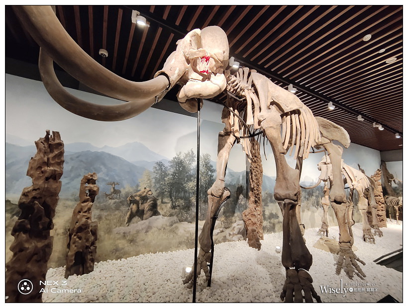 南京鎮江。跟著詩詞走江蘇︱經典文學建築物之旅，台灣網紅趴趴走 x 新浪江蘇～南京金鷹國際酒店／南京歷史博物院／大報恩寺遺址公園／南京市民俗博物館／南京中華樓.長干里／北固山／鎮江西津渡老街／恒順香醋／句容茅山